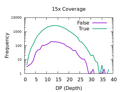 15x Depth