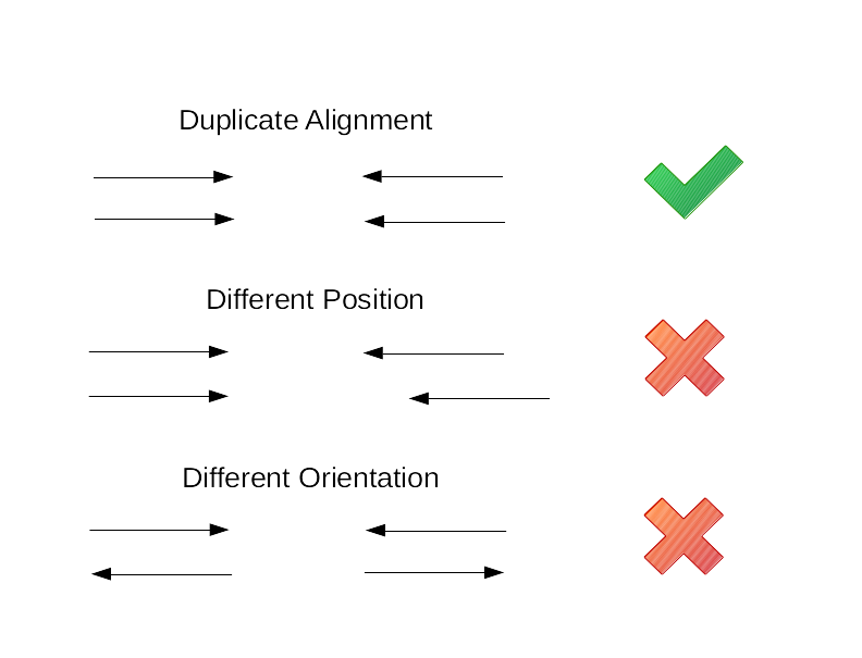 Duplicate example